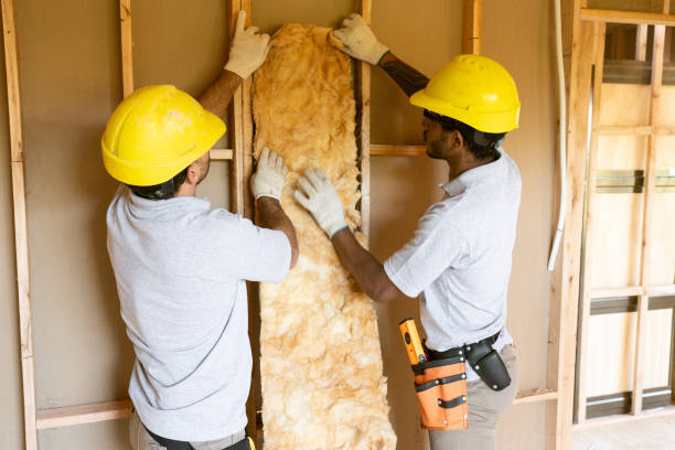 Best Spray Foam Insulation  in Lodi, OH